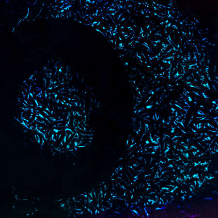 3d rendered illustration of a brain abstract background