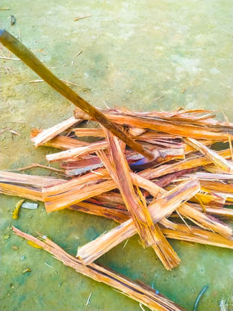 Pile of chopped wood prepared for winter. natural axeの写真素材