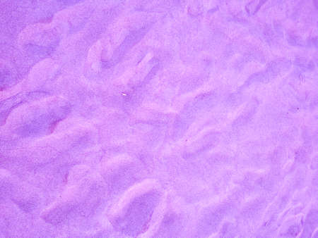 Close up of beach sand texture background abstract colorfulの写真素材