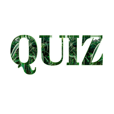 Beautiful quiz web icon 3d sticker colorful white background