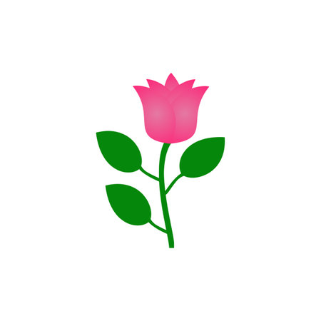 Pink rose isolated on white green leafの写真素材
