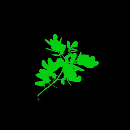 Plant icon. Vector illustration. Green on a black background.の写真素材