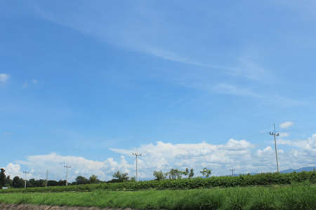 Electricity post over the blue skyの写真素材