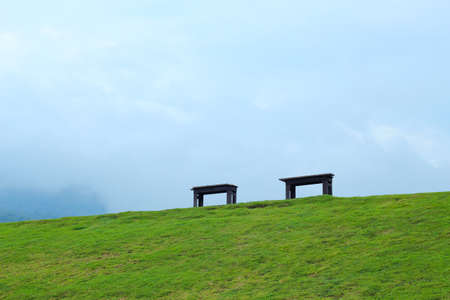 wooden park bench at a park