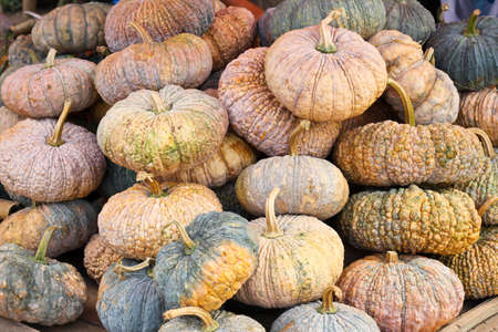 Pumpkin in market, Thailandの写真素材
