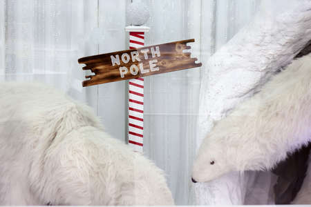 polar bears by north poleの写真素材