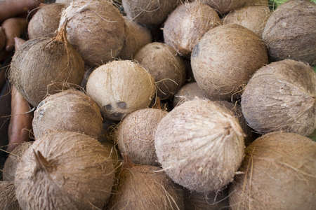 fresh coconuts at open air market