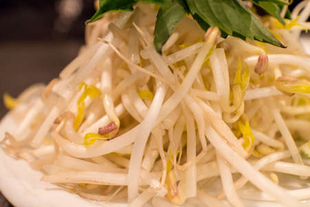 some bean sprouts on plate