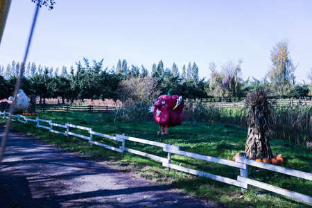 an apple waving at side of roadの写真素材
