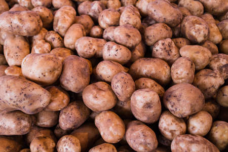 some fresh potatoes at marketの写真素材