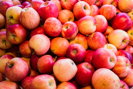 some red delicous apples at market