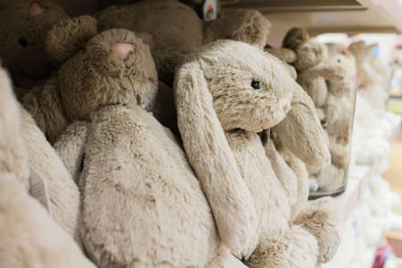 cute stuffed animals on display 2の写真素材