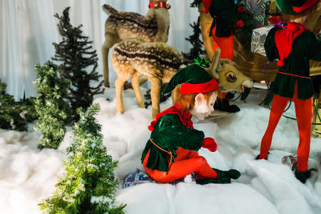 a cute elf in snowy display
