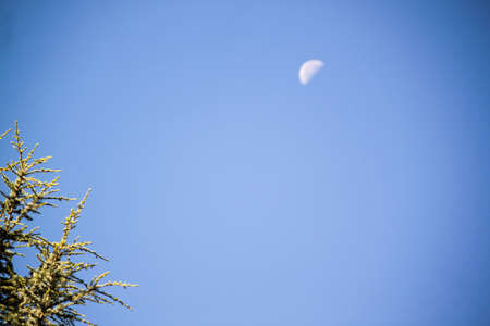 a morning moon against pale blue sky