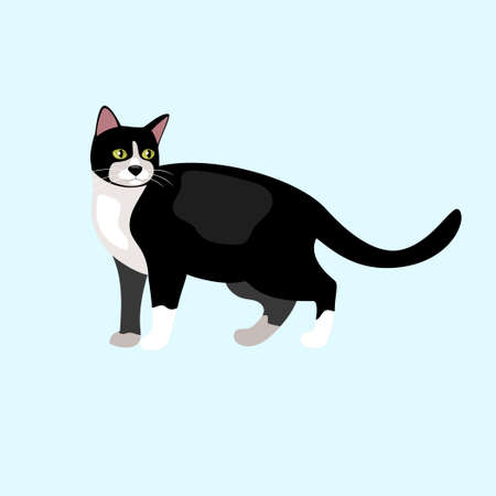 cat depicting different breeds vector ilustrationのイラスト素材