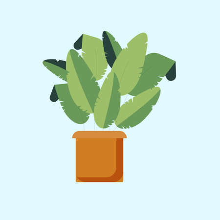 house plant flat design vector ilustrationのイラスト素材