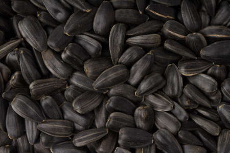 Fried black sunflower seeds. Background. Texture.