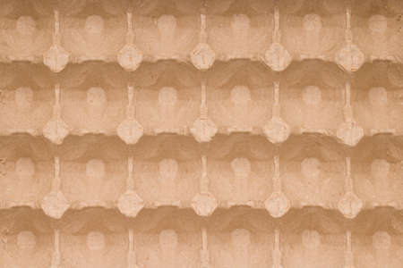 Paper tray egg package. Design, texture