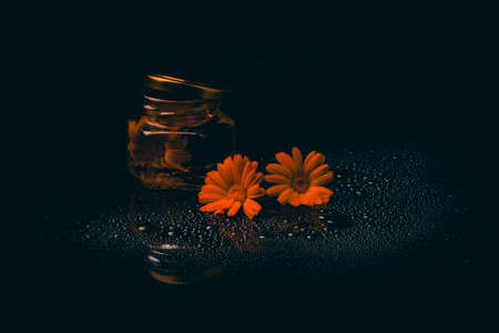Marigold flower with leaf on black background. Calendula officinalis. Herbal medicine conceptの写真素材