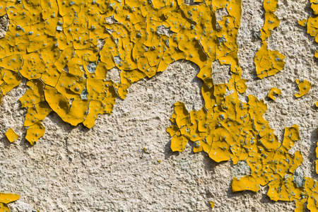 Old cracked weathered yellow painted plastered peeled wall