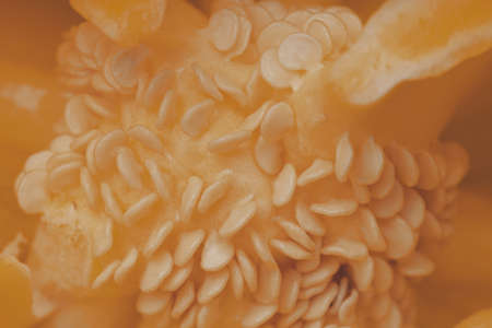 The core of orange sweet pepper close upの写真素材