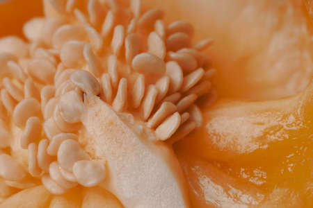 Core of juicy crude yellow sweet pepper. Macro shot. Soft focusの写真素材