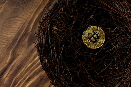 golden bitcoin in a bird nest, close up. Copy spaceの写真素材
