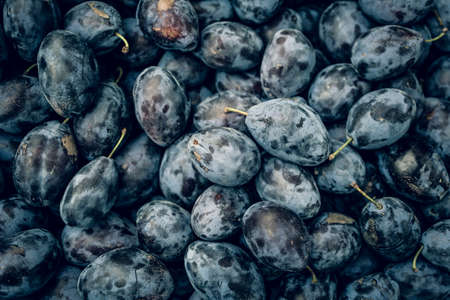 Plum texture background. Organic ripe fruitsの写真素材