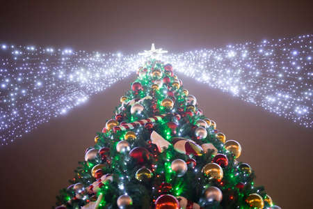 Illuminated christmass tree at nightの写真素材