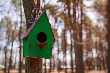birdhouse on the tree, close up view. copy spaceの写真素材