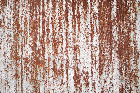 old sheet of iron covered with rust with white colored paint