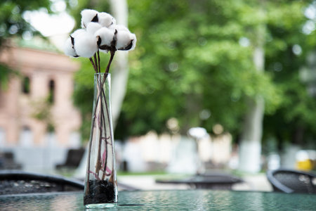 summer terrace on outdoor cafe. Table decorated with cotton flowers branch. Copy spaceの写真素材