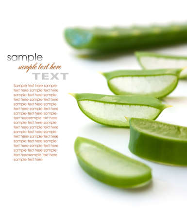 cut aloe leaves isolated on white background cut aloe leaves isolated on white background