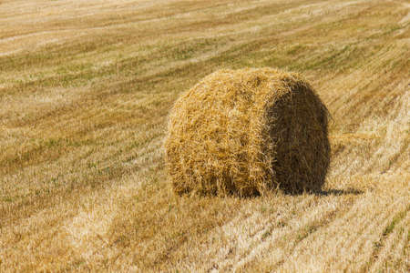 The rolls of straw in the summer on the fieldの写真素材