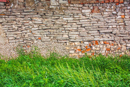 green grass on a background of stone wallの写真素材