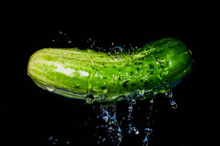 Cucumber in the stream of pure cold water on black backgroundの写真素材