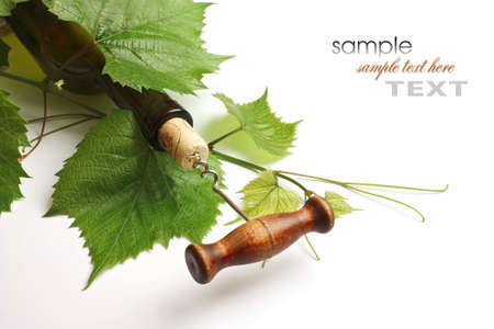 corkscrew and cork from a bottle of wineの写真素材