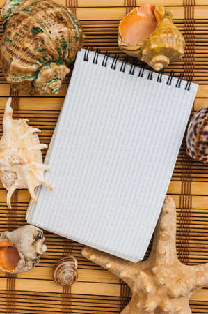 notebook to record notes on a background of seashells and starfishの写真素材