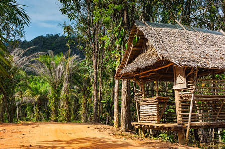 hut on the road in the jungle with palm trees on the  Phuket in Thailandの写真素材