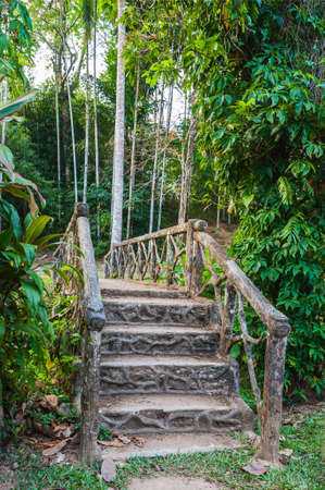 stone bridge over a creek in the jungle of Thailandの写真素材