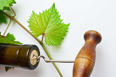 bottle of wine from the vineの写真素材