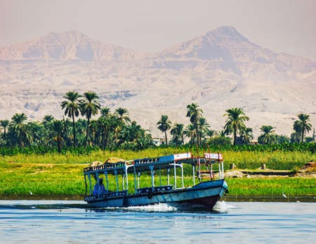 Palms and dwelling houses on the banks of the Nile in Egyptの写真素材