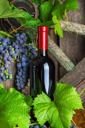 A bottle of red wine on the background of dark grapesの写真素材