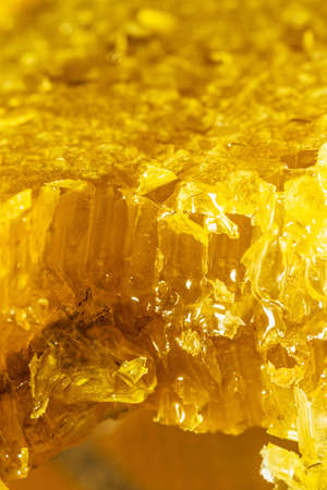 still life with pieces of a honeycomb with honey