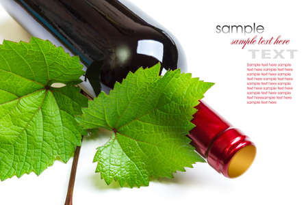 a bottle of wine from the vineの写真素材