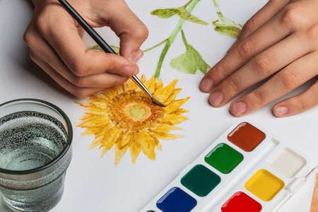 The artist paints a flower of watercolor on white paperの写真素材