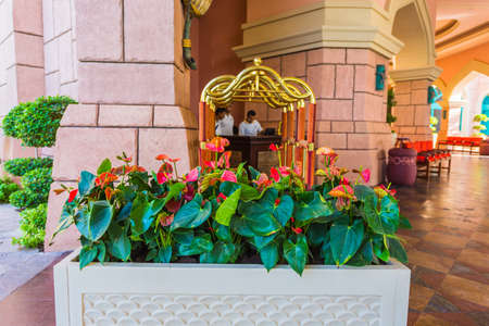 DUBAI, UAE - NOVEMBER 3: View Atlantis Hotel on November 3, 2013 in Dubai, UAE. The resort consists of two towers linked by a bridge, with a total of 1539 rooms.のeditorial素材