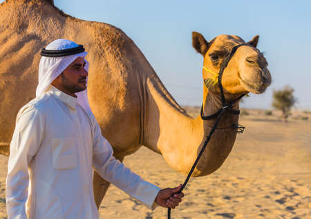 Desert landscape with camel. Sand, camel and blue sky with clouds. Travel adventure background.のeditorial素材