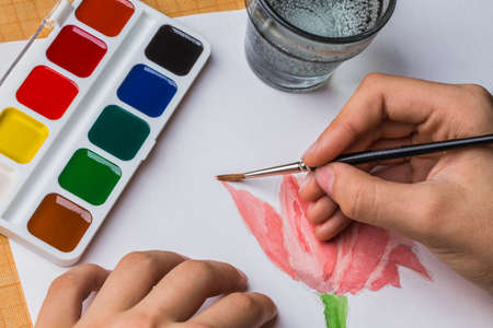 The artist paints a flower of watercolor on white paperの写真素材
