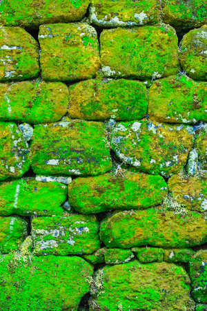 Texture of rock wall overgrown with moss, can be used as backgroundの写真素材